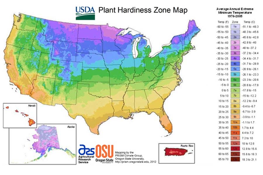 Top 20+ What zone is illinois in for planting 2 4 Things to Know Before Planning Your Chicago Landscape